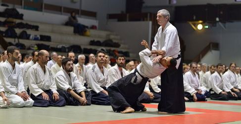 aïkido 40 dojo traditionnel des Landes 