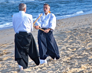 Vidéos aïkido traditionnel 